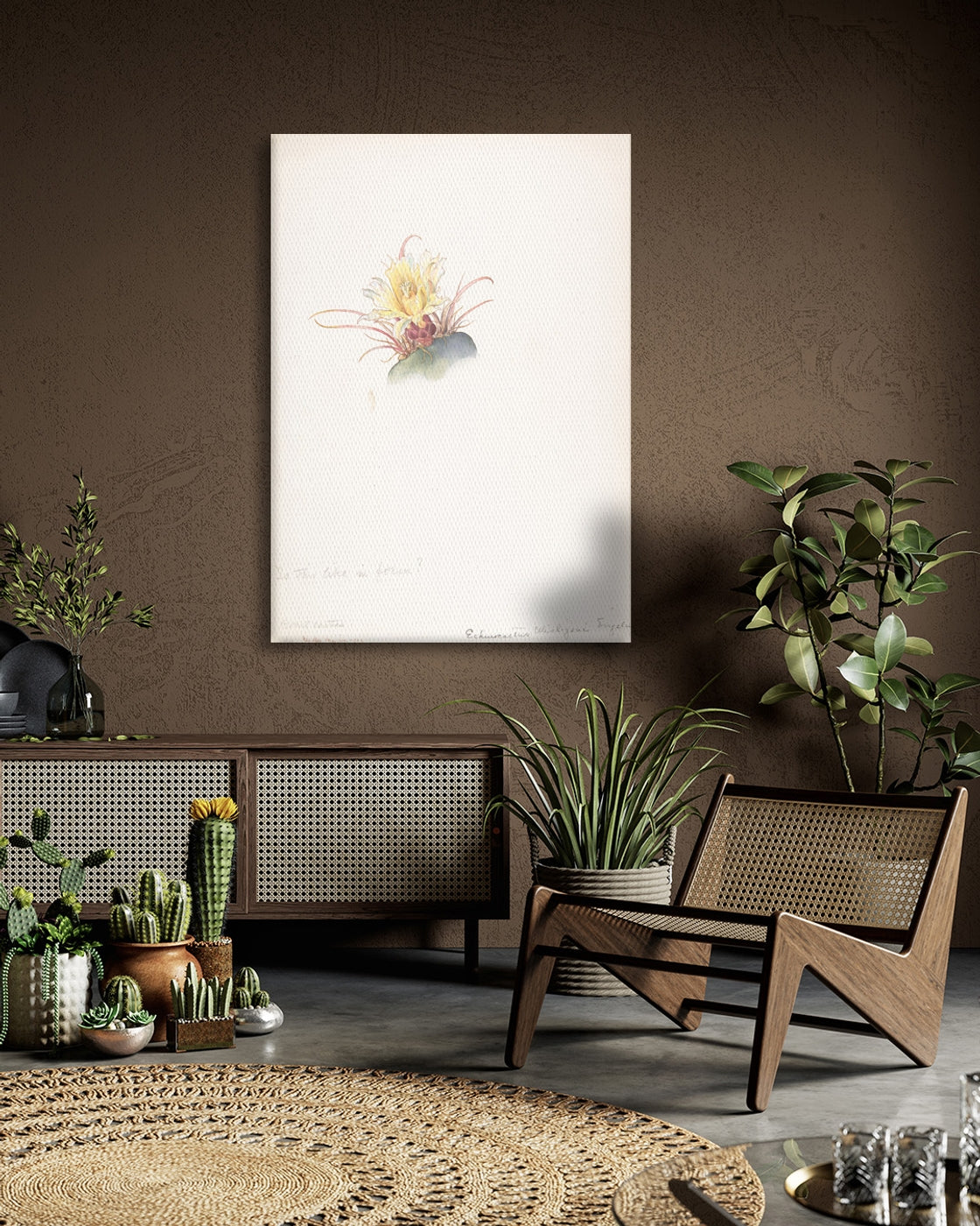 stretched-canvas