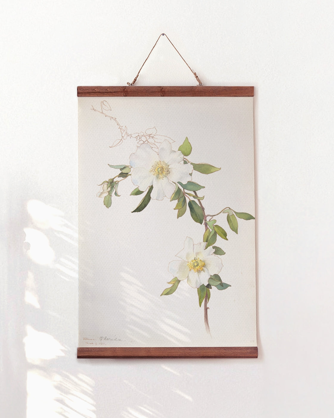 canvas