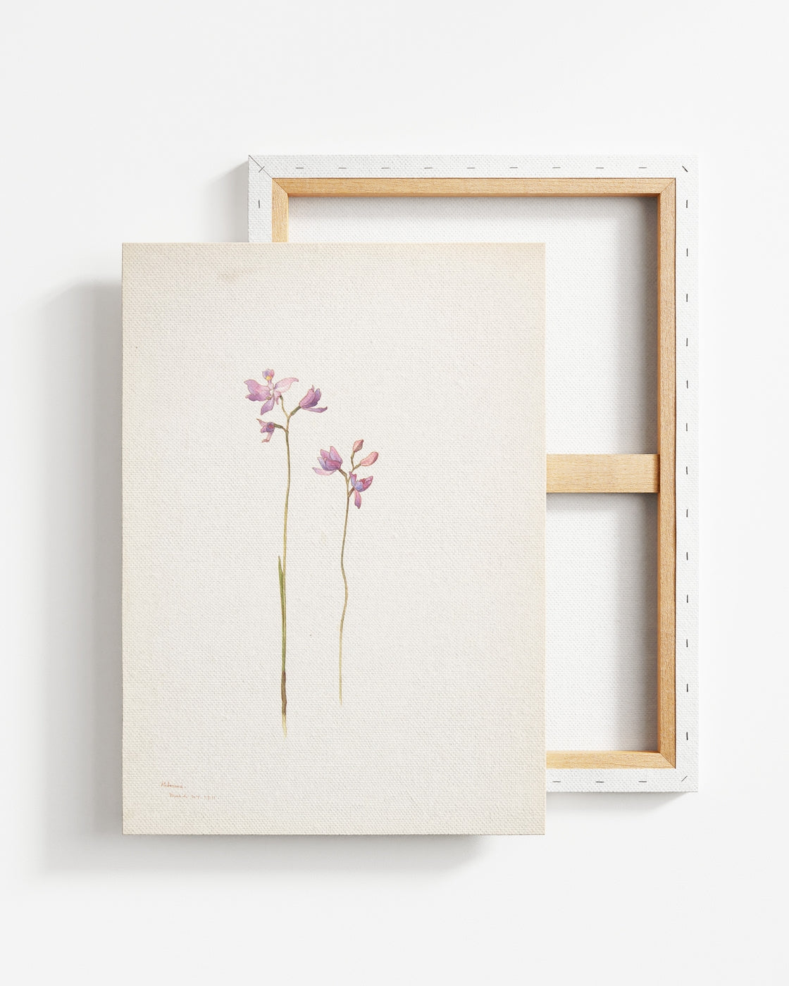 stretched-canvas