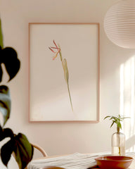 After Hover: Margaret Neilson Armstrong - Rote und weiße Orchidee