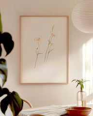 After Hover: Margaret Neilson Armstrong - Sego Lilien, Calochortus nuttallii