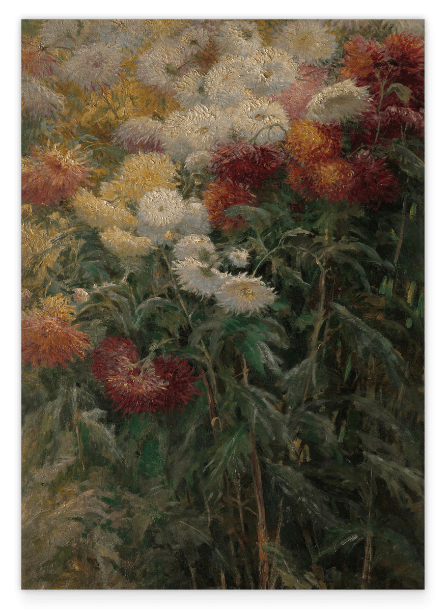 Gustave Caillebotte - Chrysanthemen im Garten bei Petit-Gennevilliers