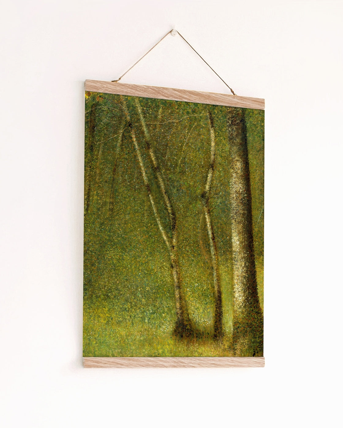 canvas