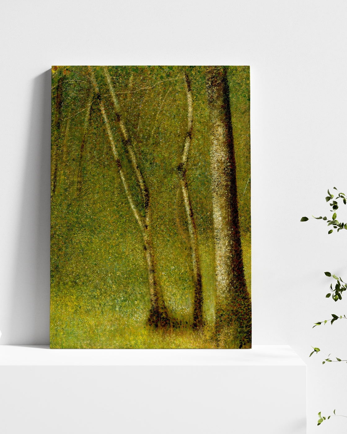 stretched-canvas