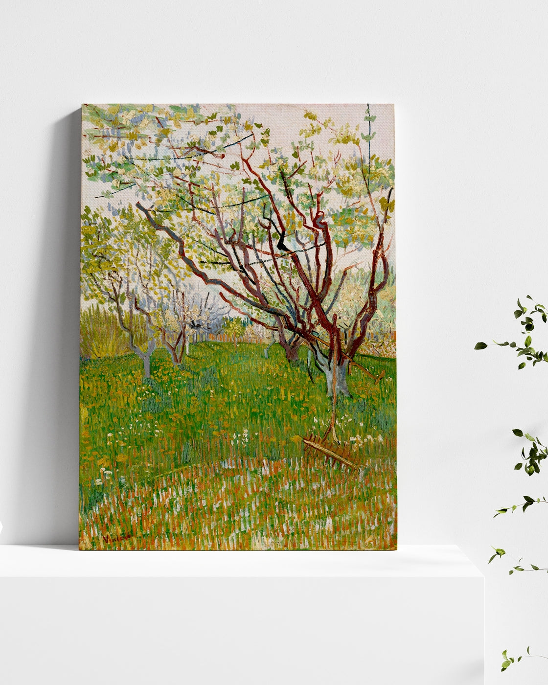 stretched-canvas