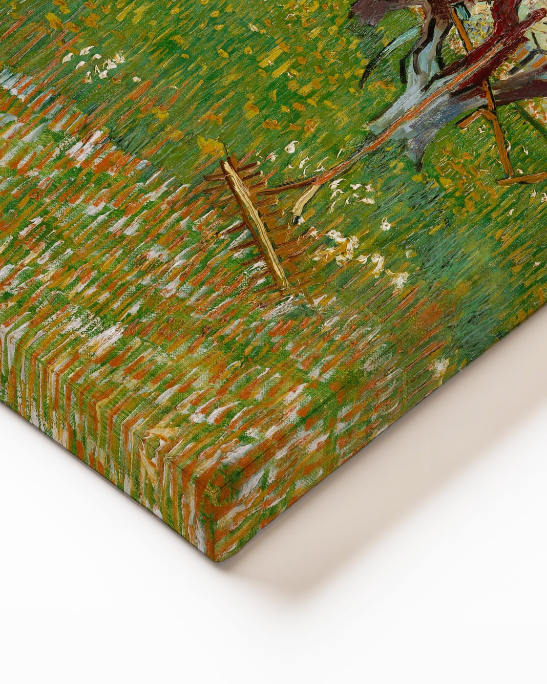 stretched-canvas