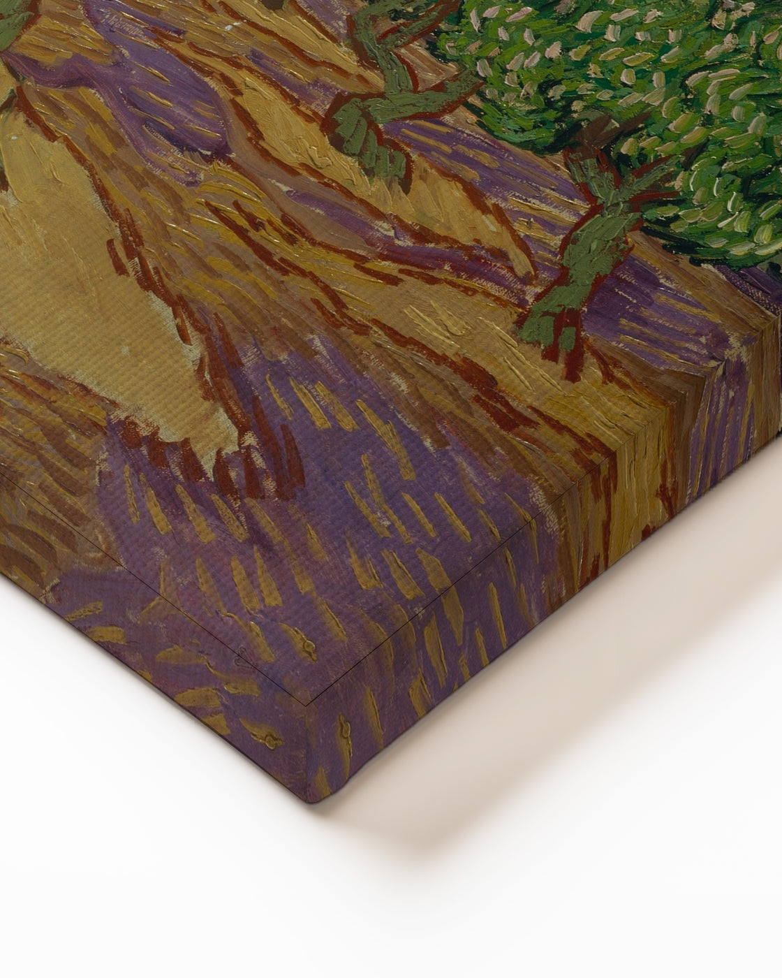 stretched-canvas