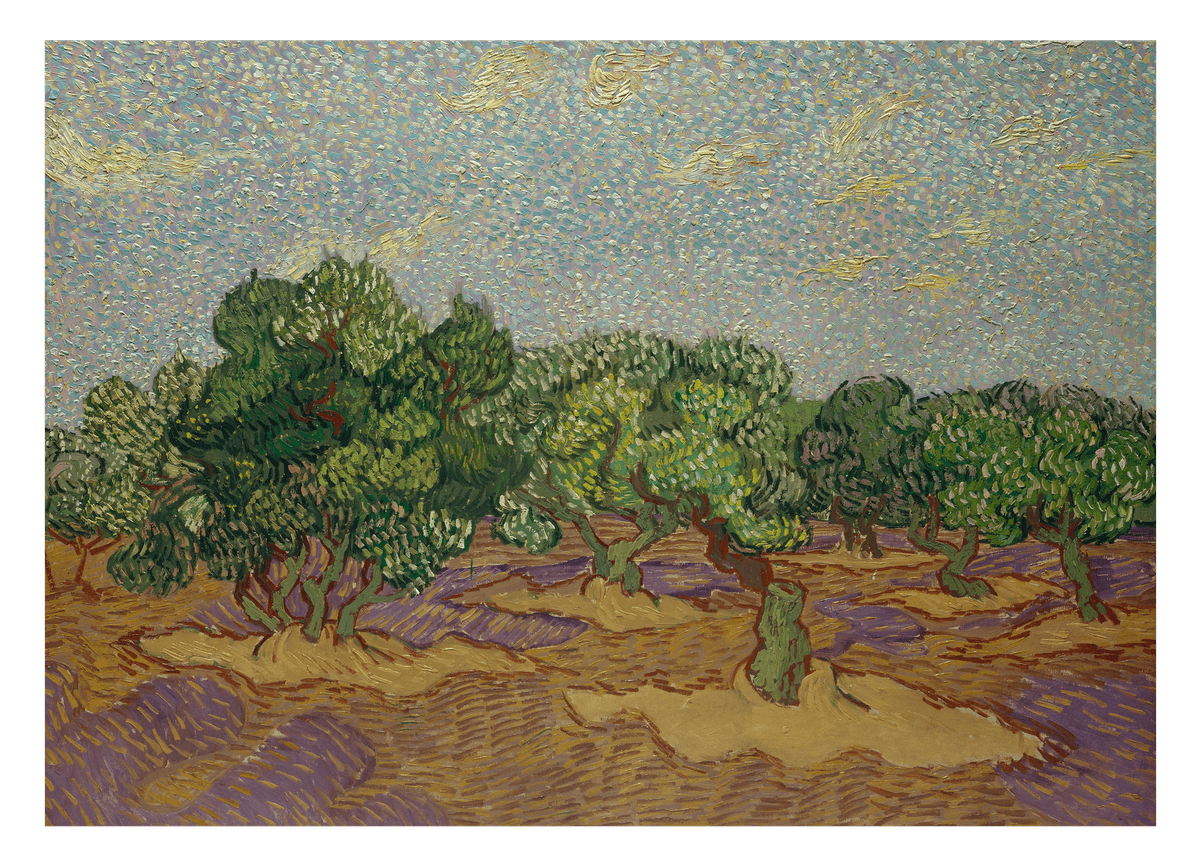Vincent van Gogh - Olivenbäume