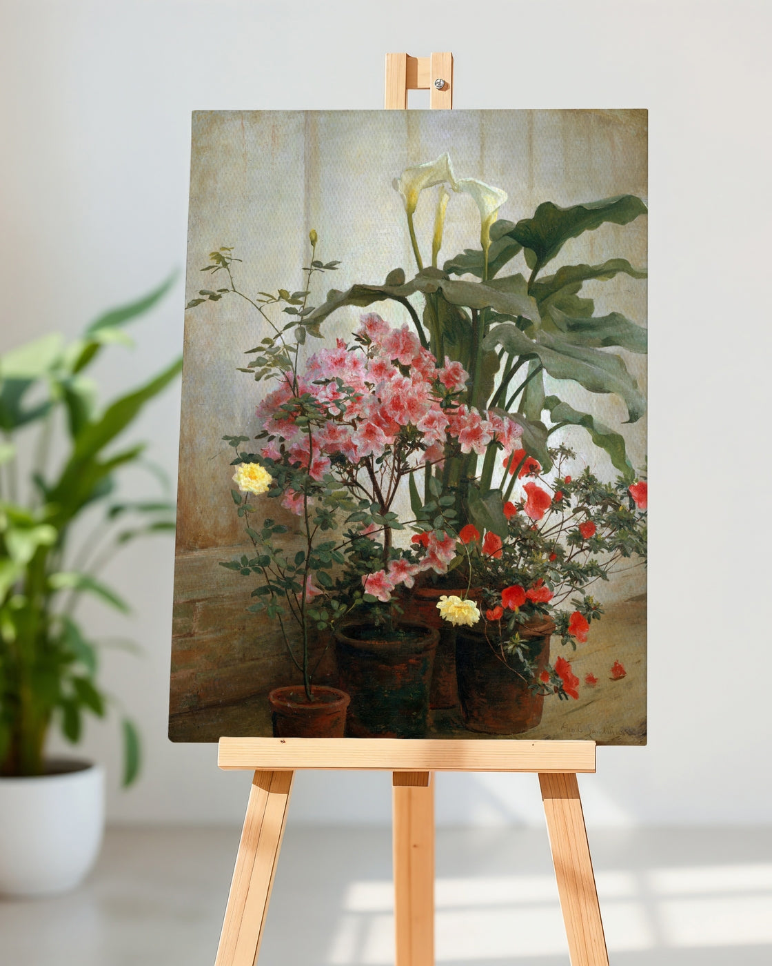 stretched-canvas