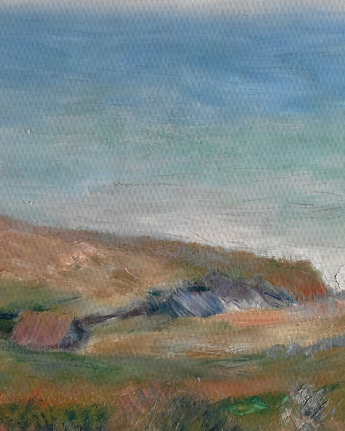 canvas