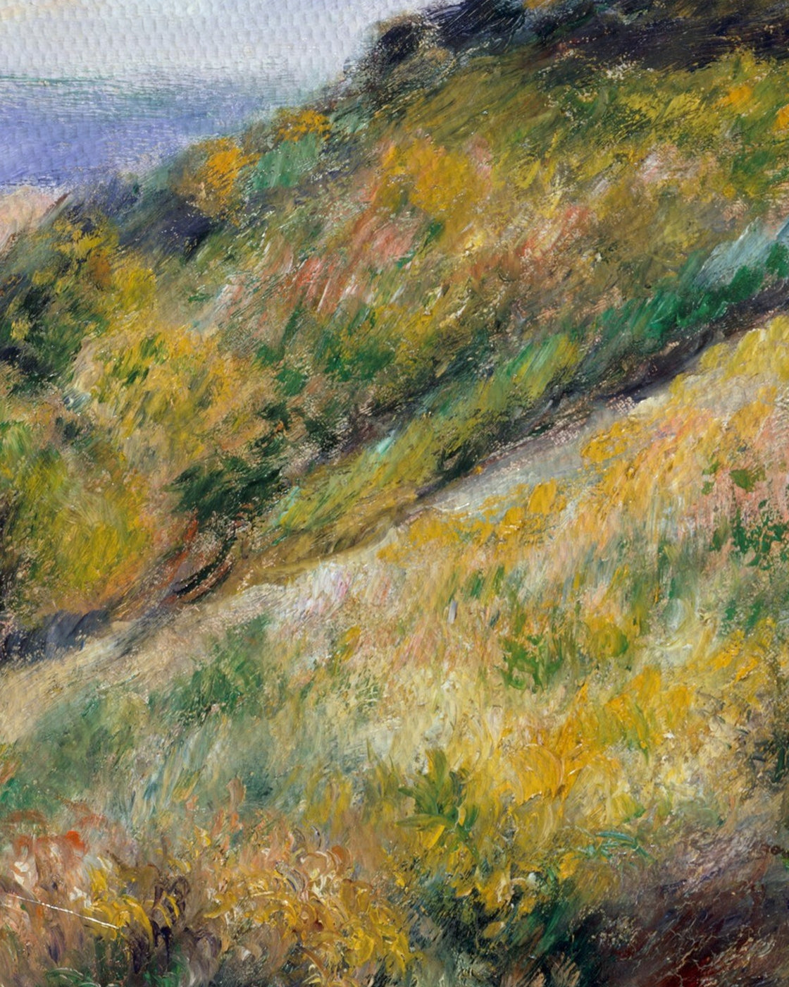 canvas