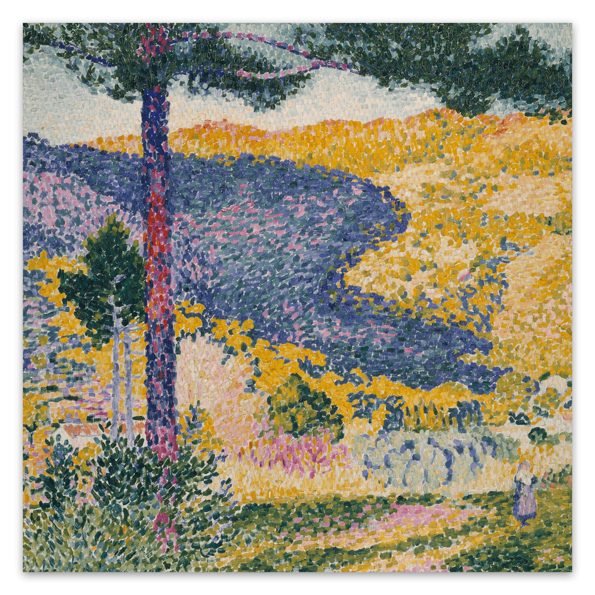 canvas