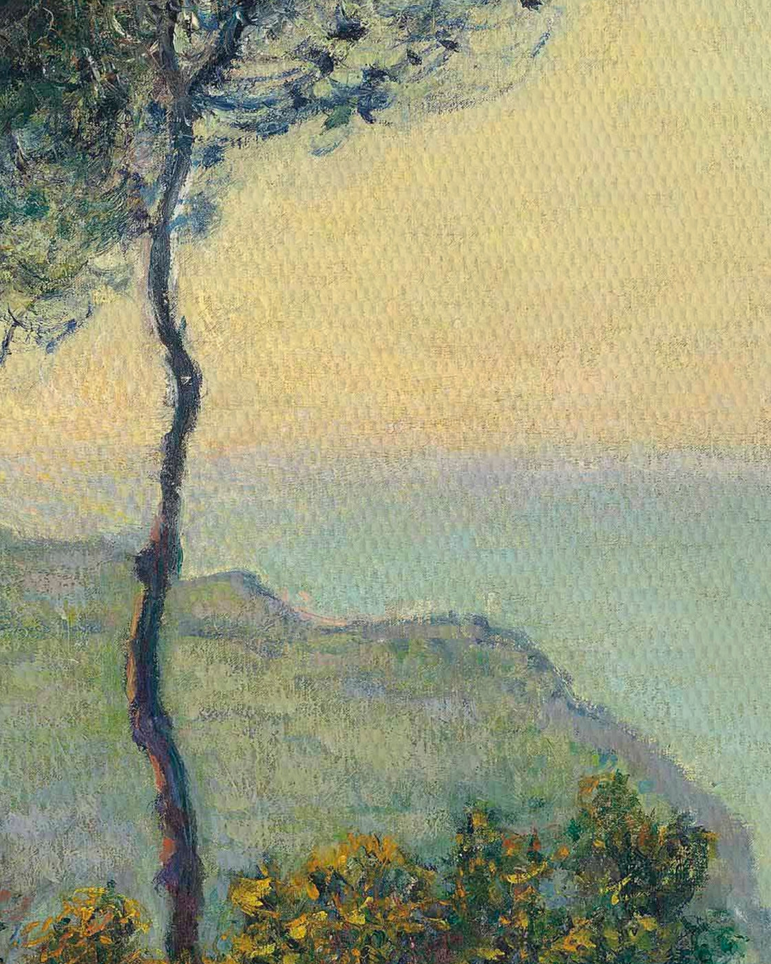 canvas