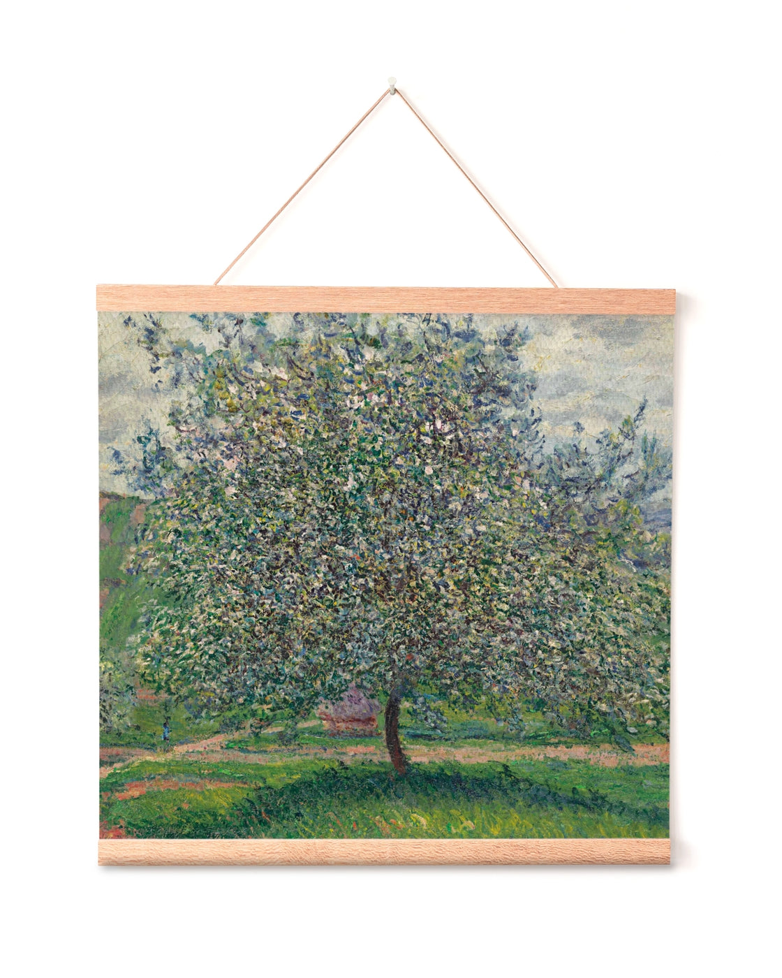 canvas