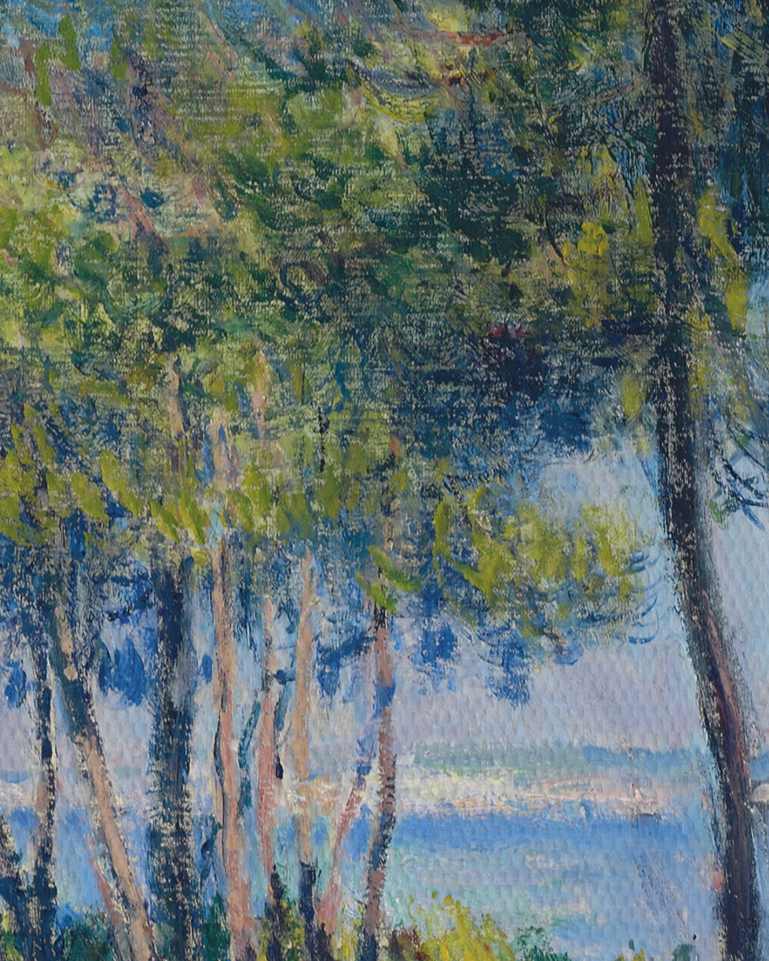 canvas