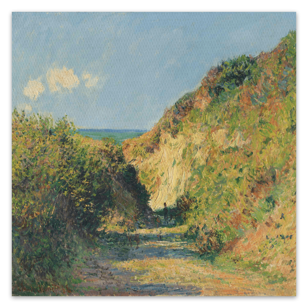 canvas