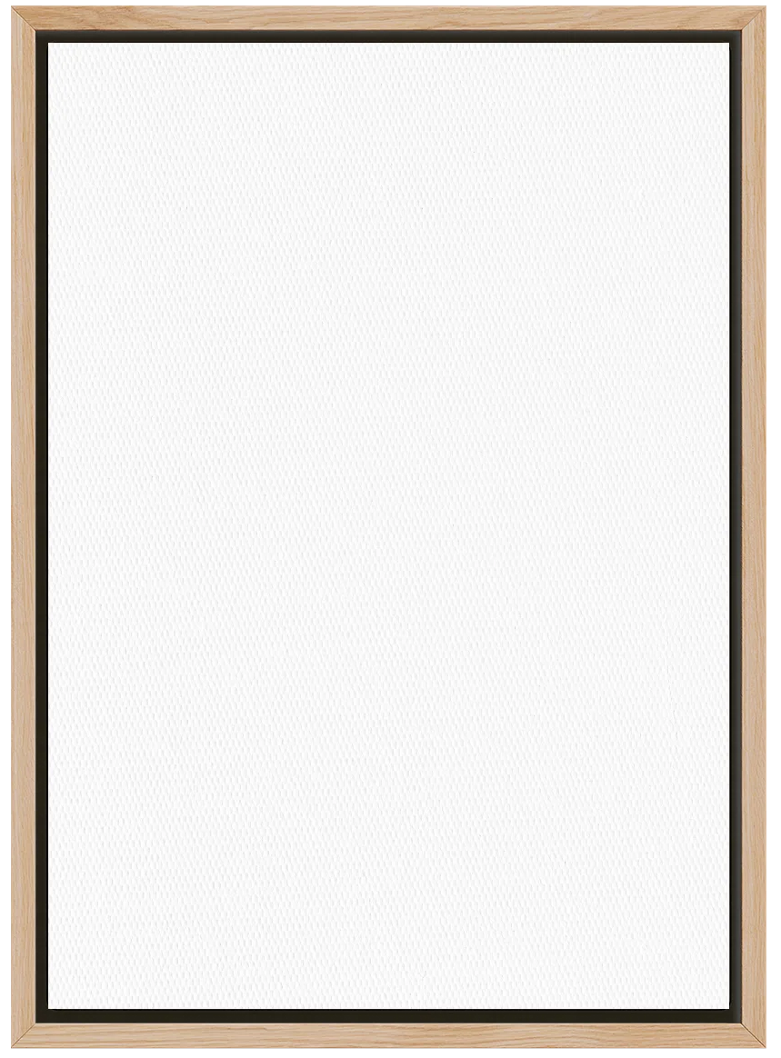 overlay_image