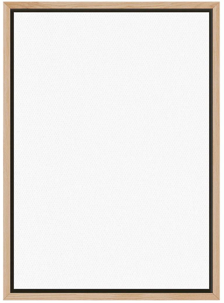 overlay_image