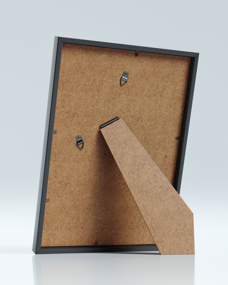 Back view of the frame