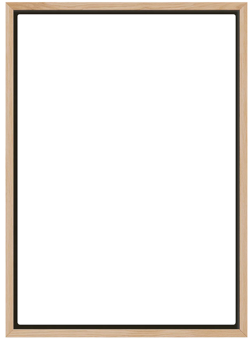 overlay_image_m