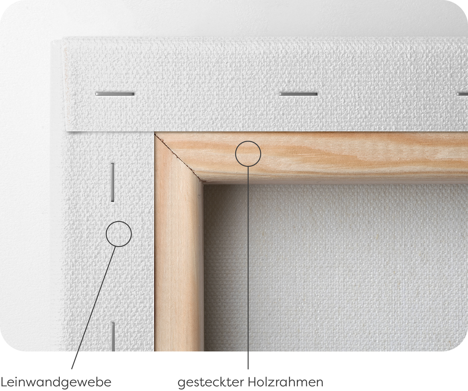 baumwoll-canvas