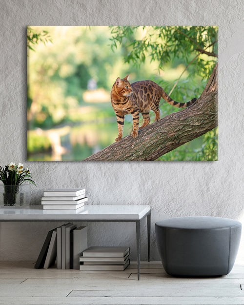 tier wandbilder online kaufen bengal-katze leinwandbild
